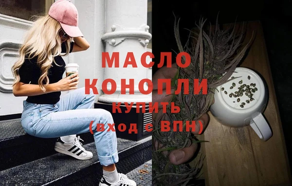 амф Гусь-Хрустальный