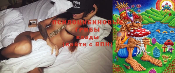 амф Гусь-Хрустальный