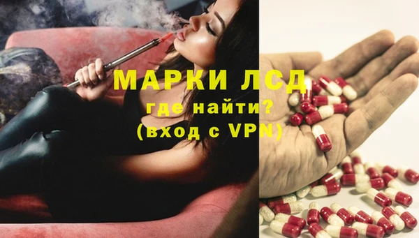 амф Гусь-Хрустальный