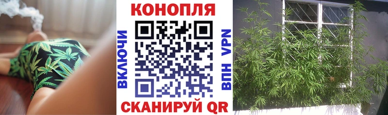 Каннабис конопля  Углич 